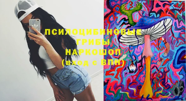 метадон Алексин