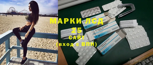 прущие грибы Абдулино