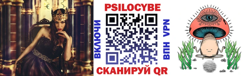 площадка клад  Избербаш  Псилоцибиновые грибы ЛСД 